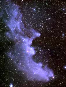 Witch Head Nebula